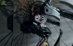 absoluteBLACK Titanium Rear Derailleur Hanger bolt for Shimano Road & Grx Titanium